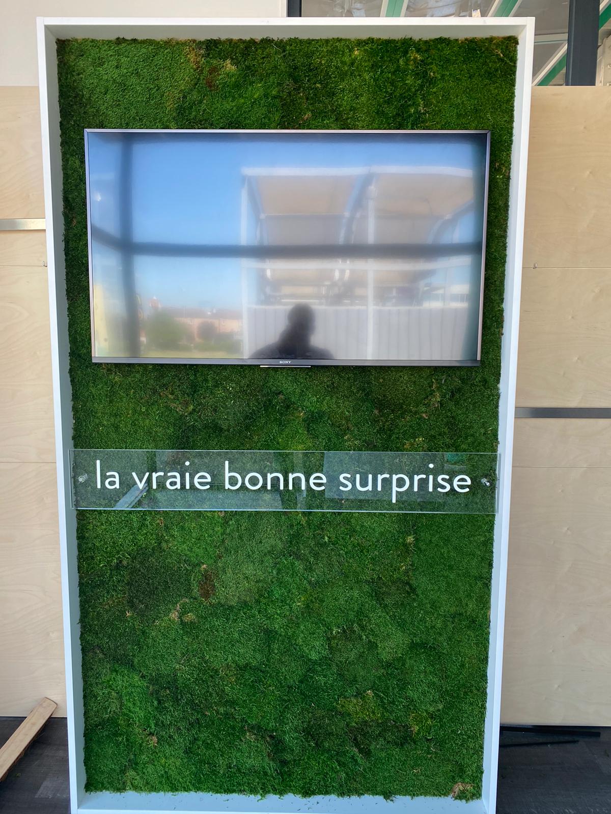 Mur végétal avec écran dans le centre 123 Pare-Brise Mâcon