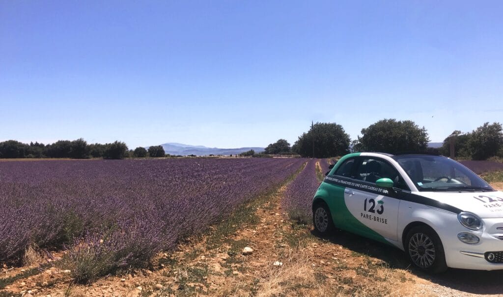 123PareBrise-Montelimar-vehicule-de-courtoisie-champ-de-lavande Fiat 500 floquée 123 Pare-Brise dans un champ de lavade