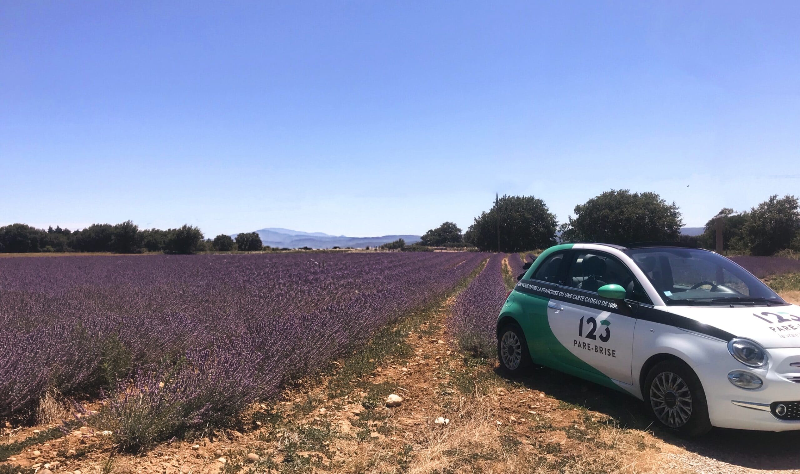 Fiat 500 floquée 123 Pare-Brise dans un champ de lavade