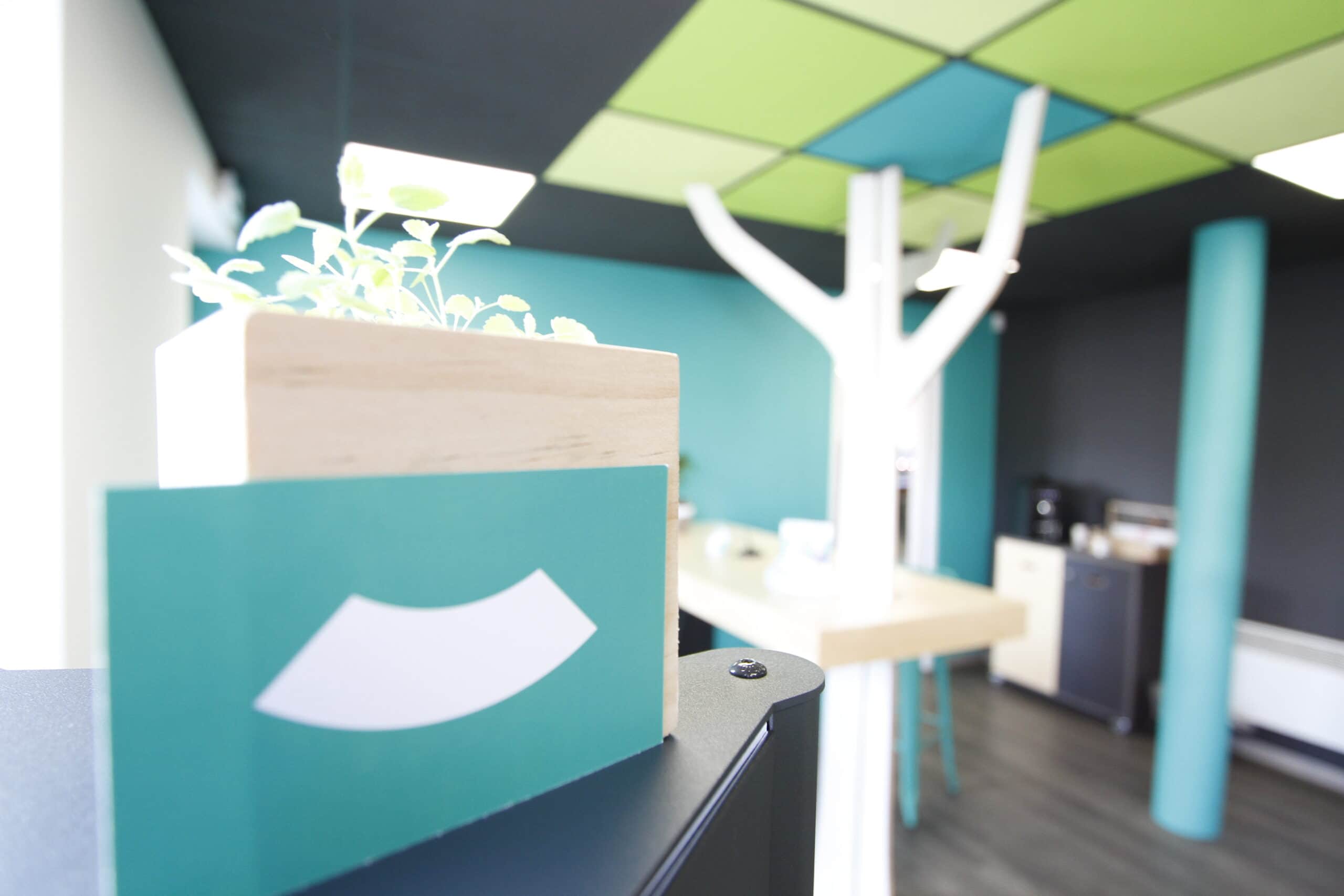 Plante et arbre dans l'agence 123 Pare-Brise Lens