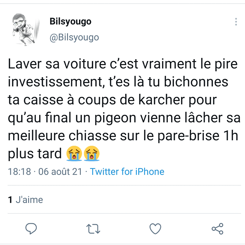 Les 16 meilleurs Tweets sur le pare-brise lorsque tu nettoies ton pare-brise.