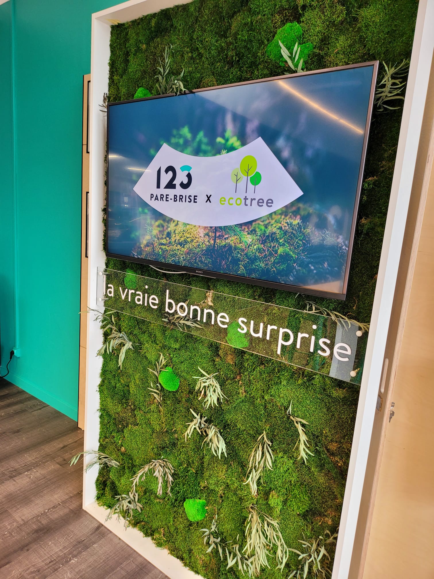 Mur végétal de l'agence 123 Pare-Brise Rouen Grand-Quevilly