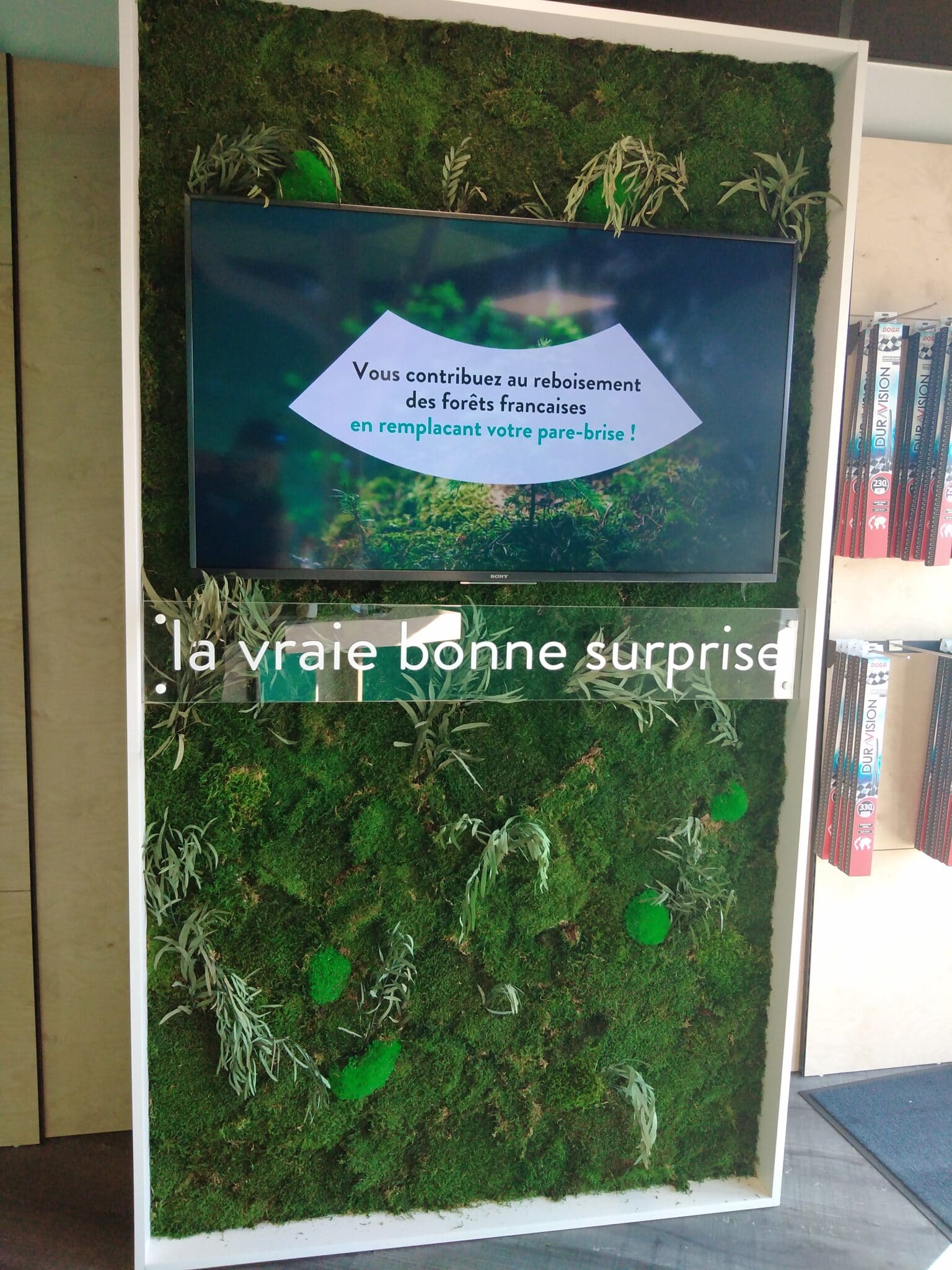 Mur végétal du centre 123 Pare-Brise Sorgues