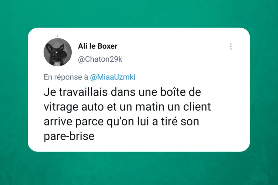 Les 16 meilleurs Tweets sur le pare-brise