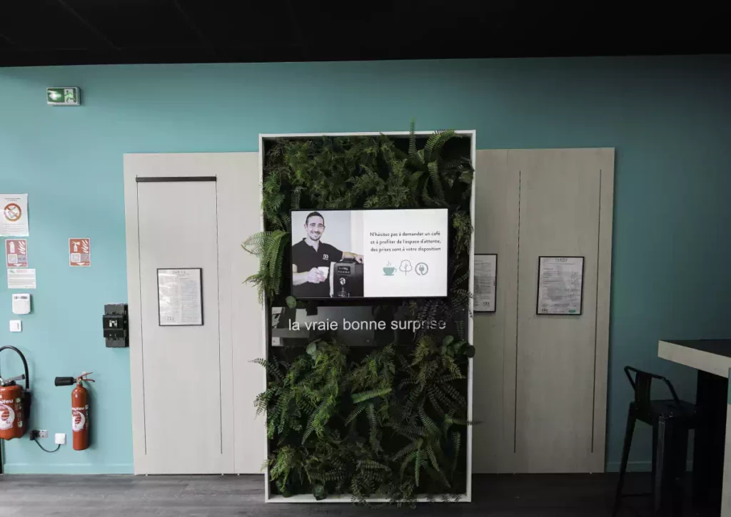 mur-vegetal-123-pare-brise-antibes Mur végétal pare-brise Antibes